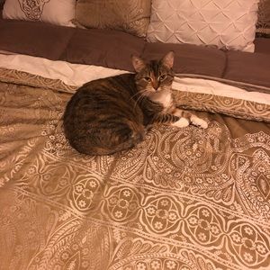 Meet your Posher, Jennifer